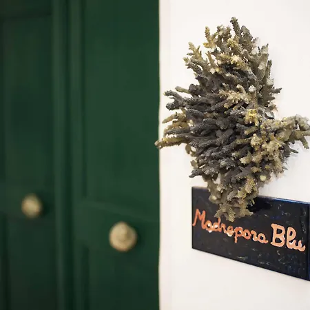 Palazzo Salapolis - Luxury 아파트 갈리폴리